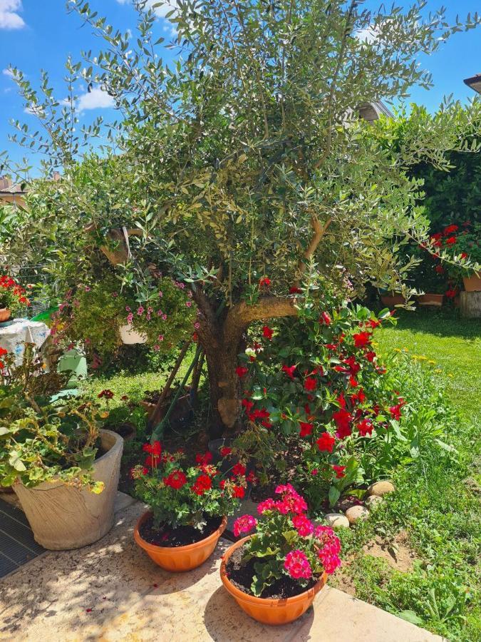 Casa Andre Appartement Pescantina Buitenkant foto